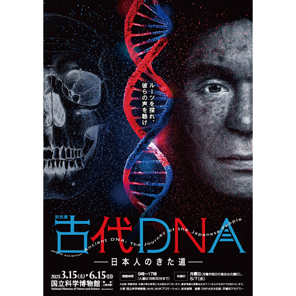 特別展「古代DNA―日本人のきた道―」