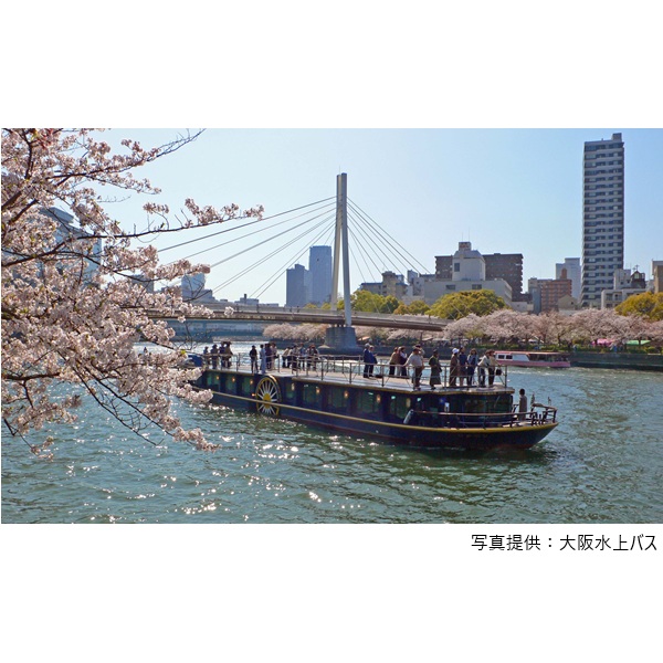 桜遊覧（大起水産 八軒家浜「まぐろスタジアム」 ＆ひまわり）