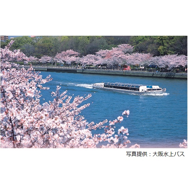 桜遊覧（北新地「名門」＆アクアライナー）