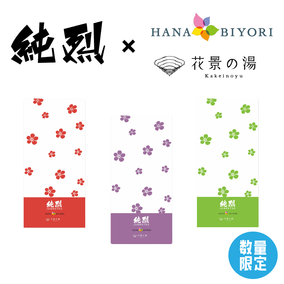 純烈チケットホルダー