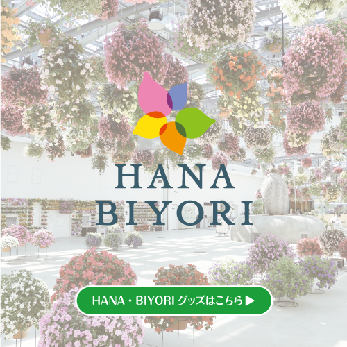 HANA・BIYORI