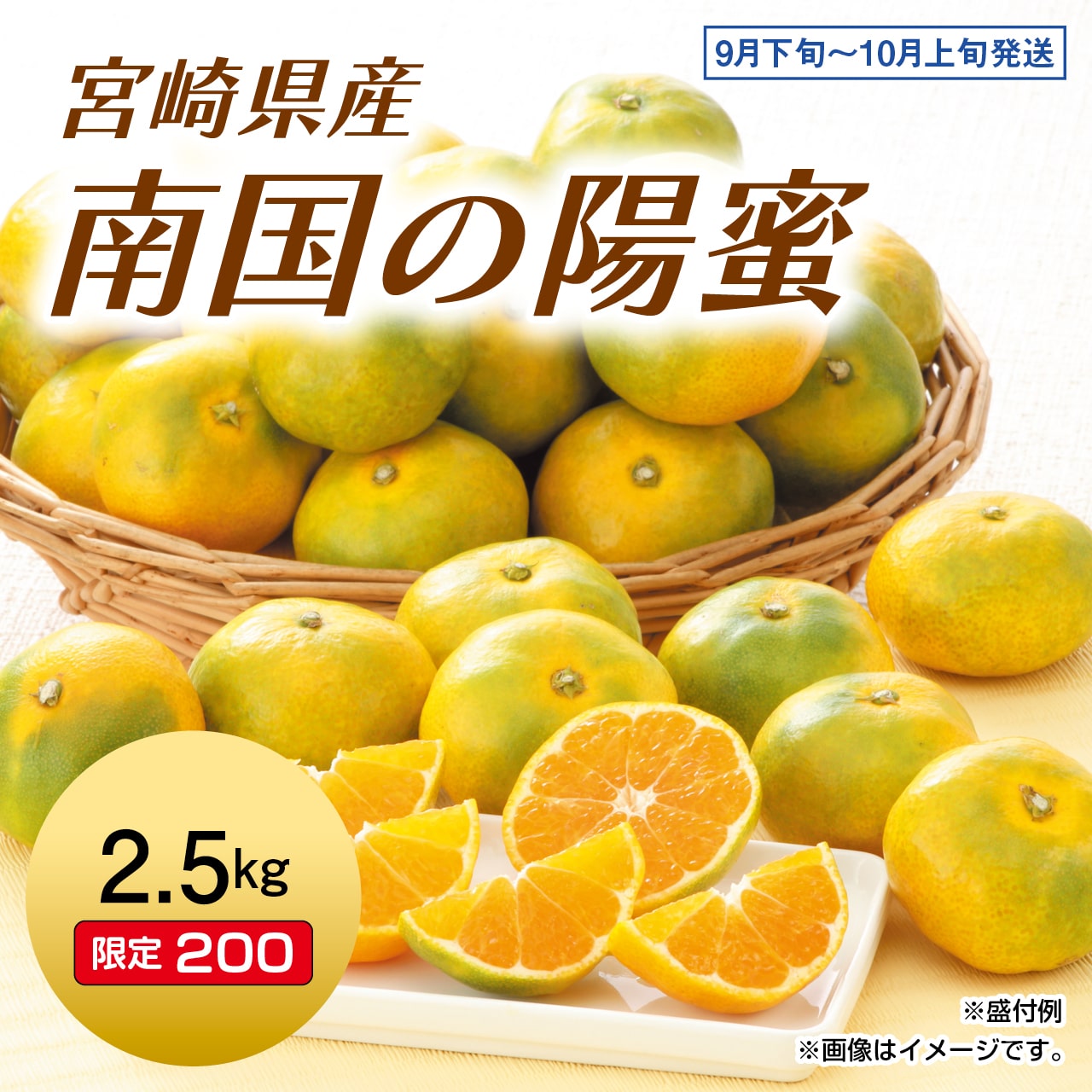 宮﨑県産　南国の陽蜜　2.5kg