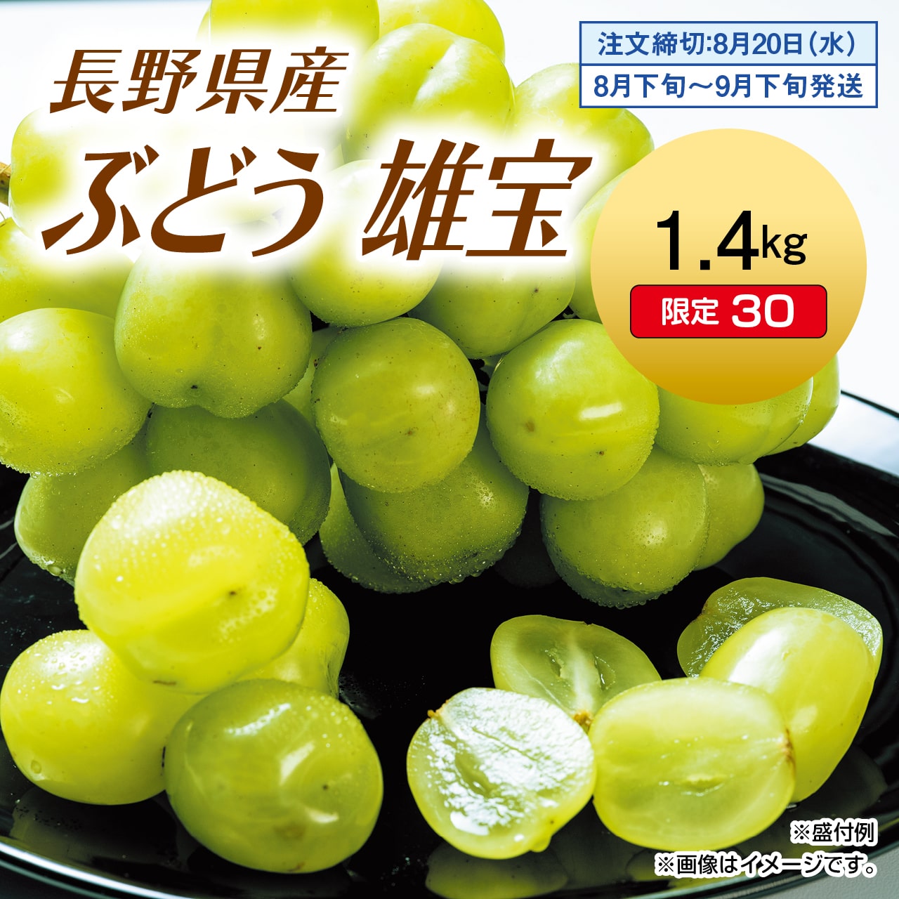 長野県産　ぶどう　雄宝　1.4kg