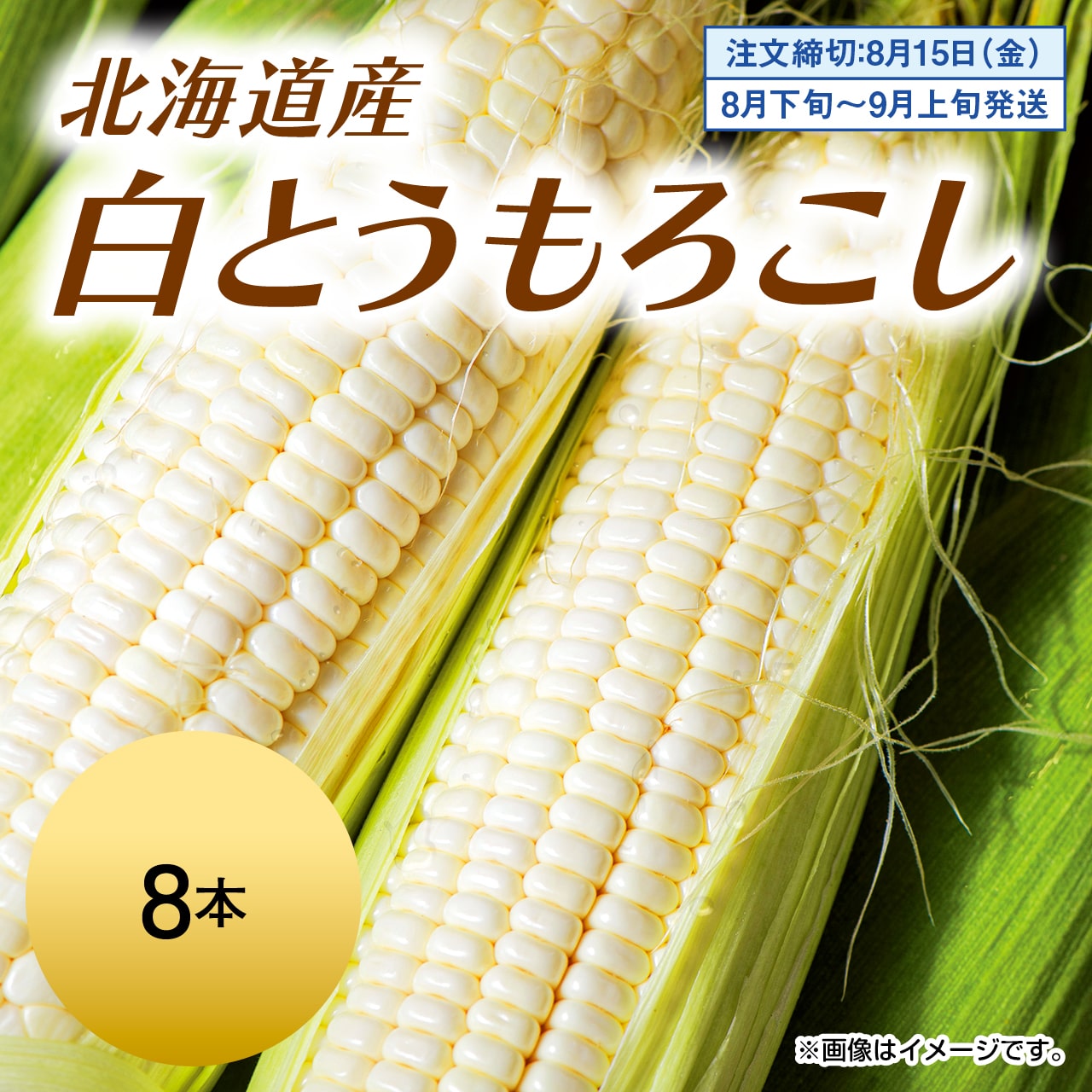 北海道産　白とうもろこし　8本