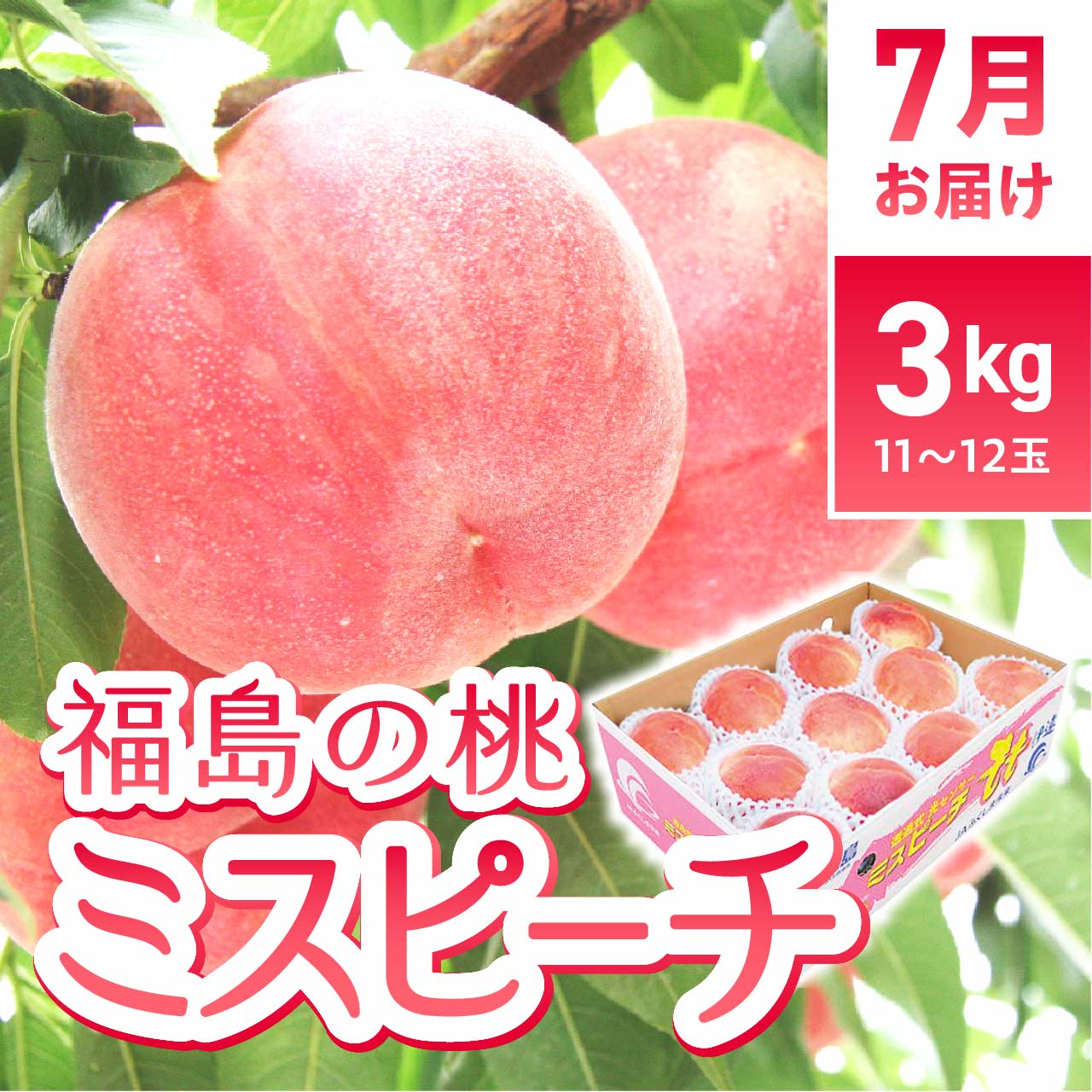 福島の桃　ミスピーチ　7月お届け（2025年6月6日販売開始）
