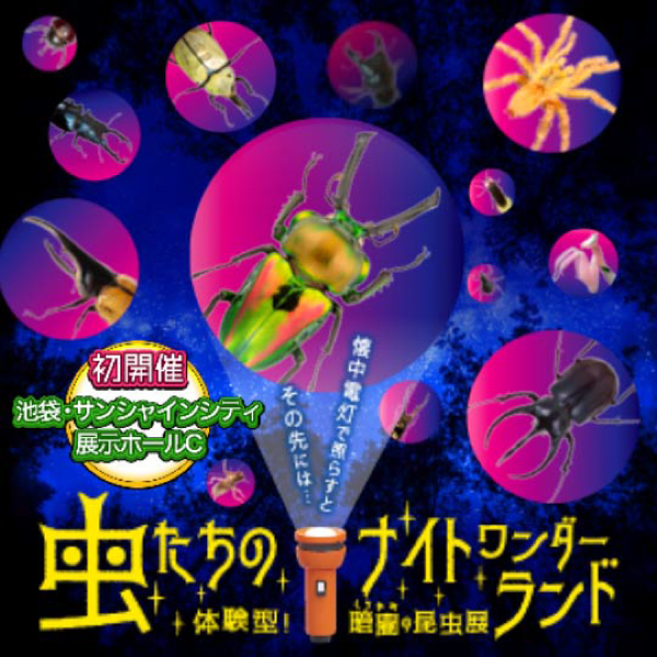 虫たちのナイトワンダーランド 体験型!暗闇の昆虫展