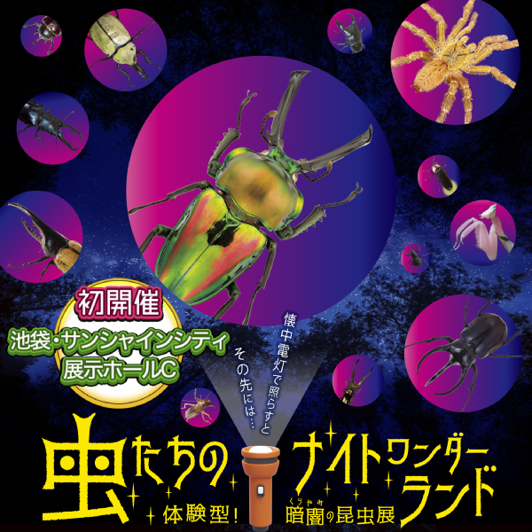 虫たちのナイトワンダーランド 体験型!暗闇の昆虫展