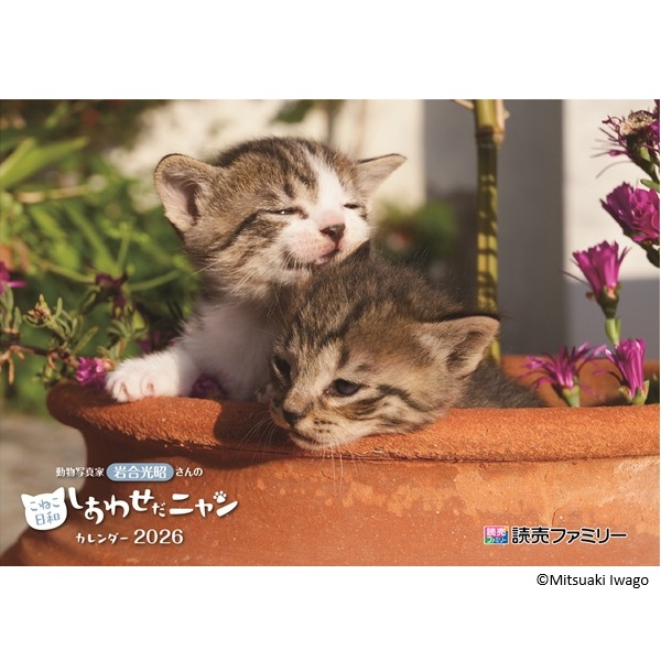 岩合光昭さんの2026カレンダー「こねこ日和 しあわせだニャン」