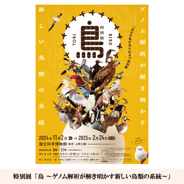 特別展「鳥 ～ゲノム解析が解き明かす新しい鳥類の系統～」