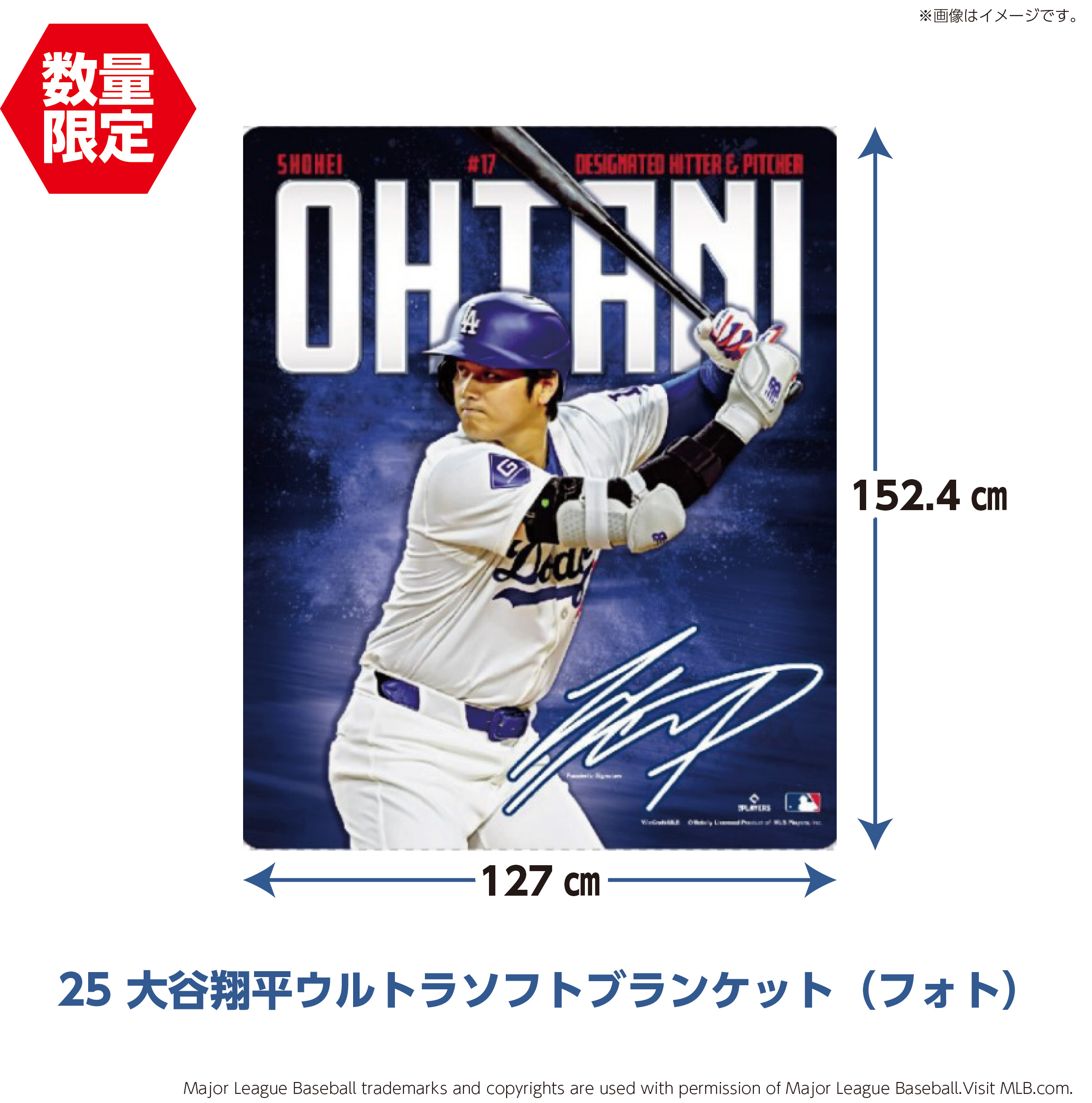 25 大谷翔平ウルトラソフトブランケット（フォト）