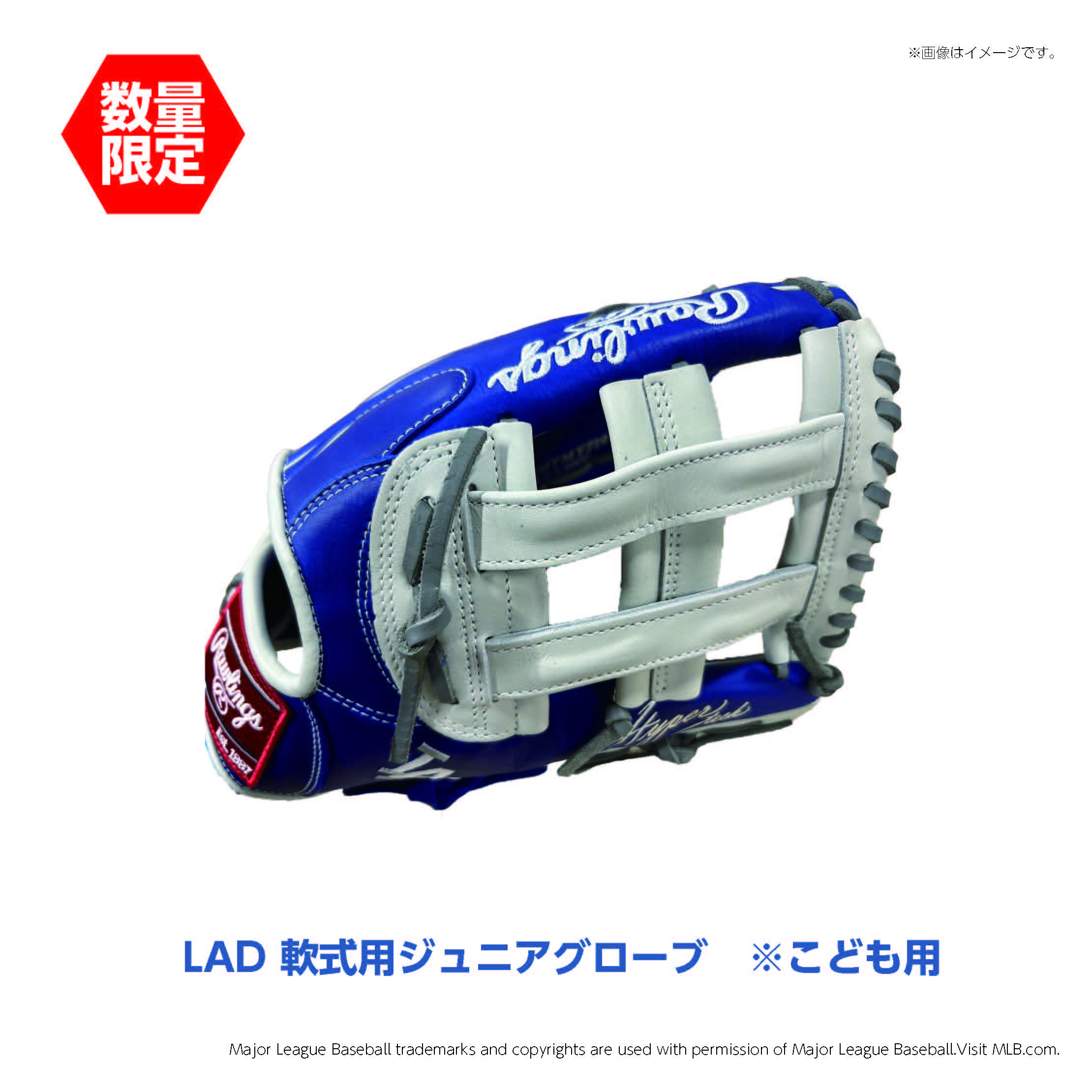 LAD　軟式用ジュニアグローブ　※こども用